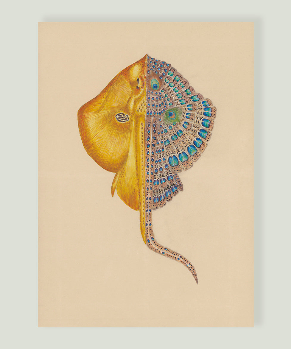 CHIMÈRE RAYMONDE PALOMA - ŒUVRE ORIGINALE Balthazar Bel Hasard
