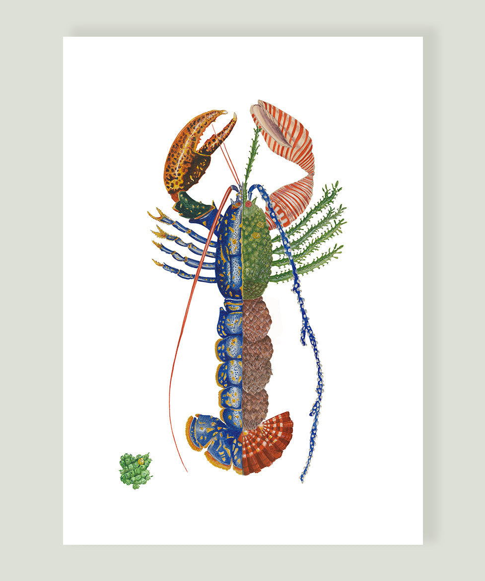 ART MURAL-BALTHAZAR BEL HASARD-COLLECTIONS PORTE-BONHEUR