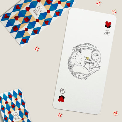 CARTE LAPIN-TOTEM ♥ N°1 Balthazar Bel Hasard