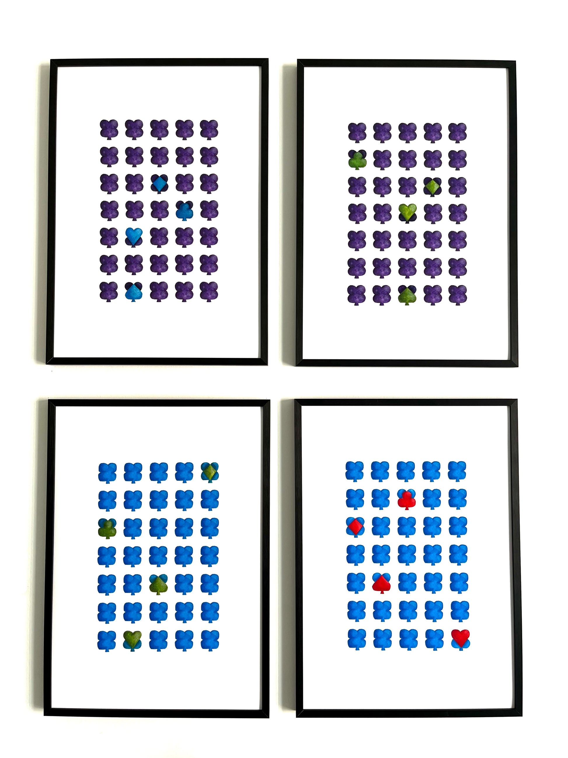TRÈFLES AS BLEU AZUR x VERT ESPOIR Balthazar Bel Hasard