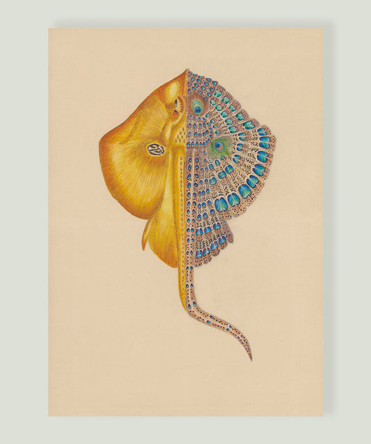 CHIMÈRE RAYMONDE PALOMA - ŒUVRE ORIGINALE Balthazar Bel Hasard